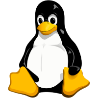 LINUX